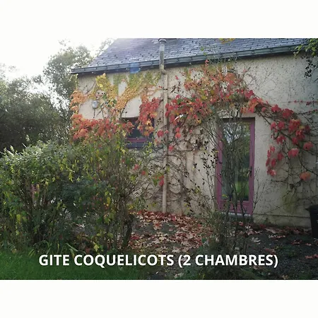 Tatil Evi De La Janais